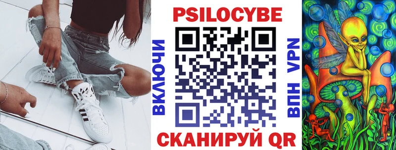 Псилоцибиновые грибы MAGIC MUSHROOMS  купить наркотик  мега ТОР  Барыш 